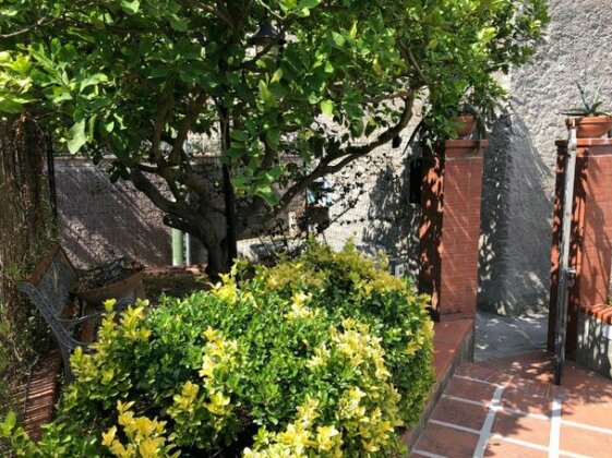 Regina di Capri - Villa Truglio- - Photo3