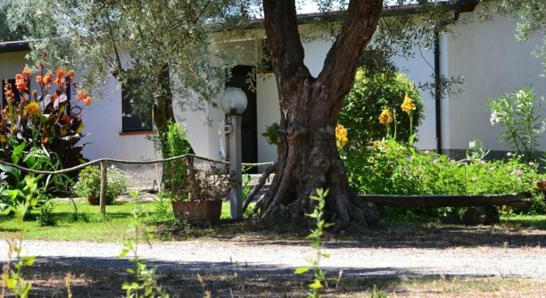 Agriturismo Il Maresciallo - Photo2