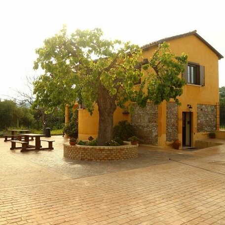 Al Grande Gelso - Photo4