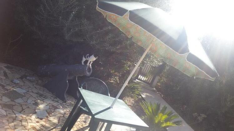 Camera 81 Homestay - Photo4
