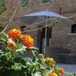 Hotel Il Cardello Locanda - Photo3