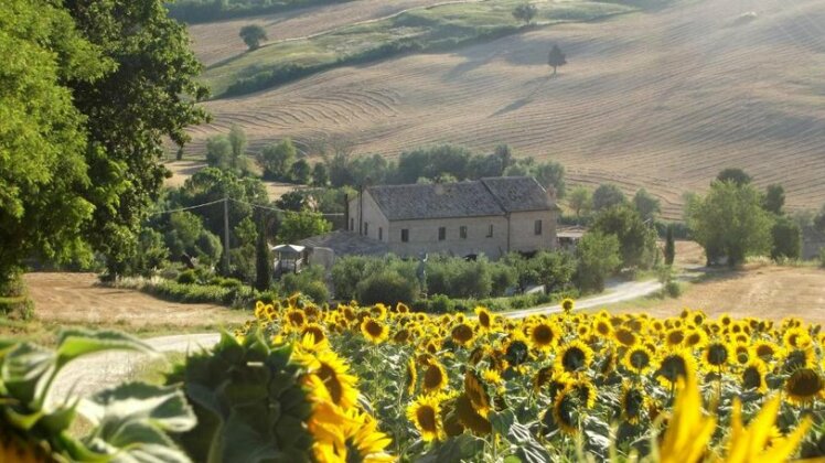 La Casa degli ulivi Castel Colonna