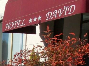 David Hotel Sesto Calende
