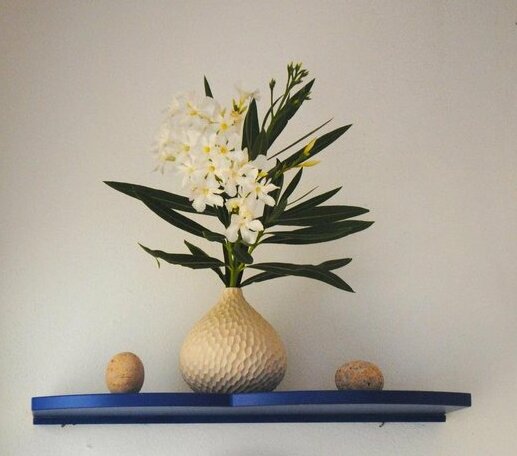 Blulatte - Photo2