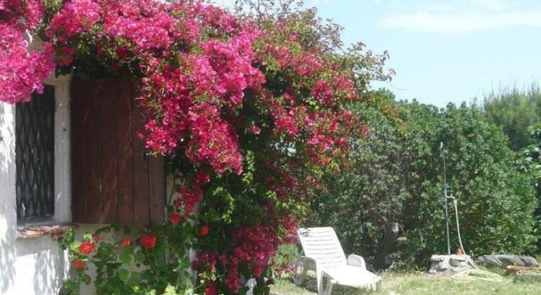 Casa Romasinu - Photo4