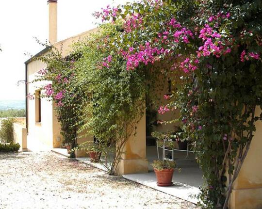 Agriturismo Baglio Vecchio - Photo4