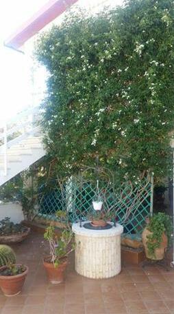 Delianick Holiday Home - Photo3