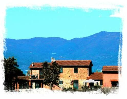 B&B Ceriolo - Photo4