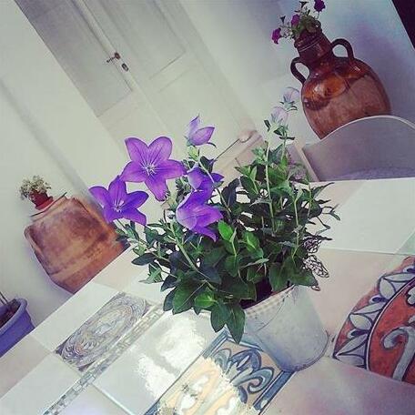 Appartamento Tevere - Photo3