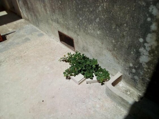 Cortile Calinea - Photo4