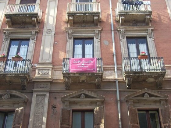 Piccola Perla - Photo3
