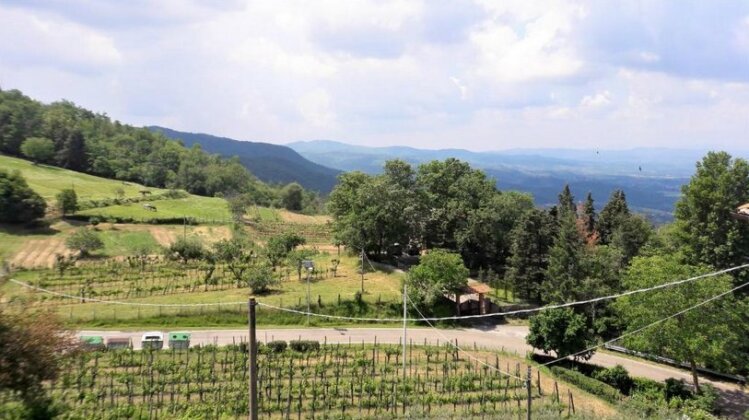 A Due Passi Dal Chianti - Panoramic Apartment - Photo4