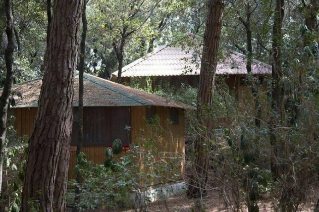 Village Club Cecina - Photo3