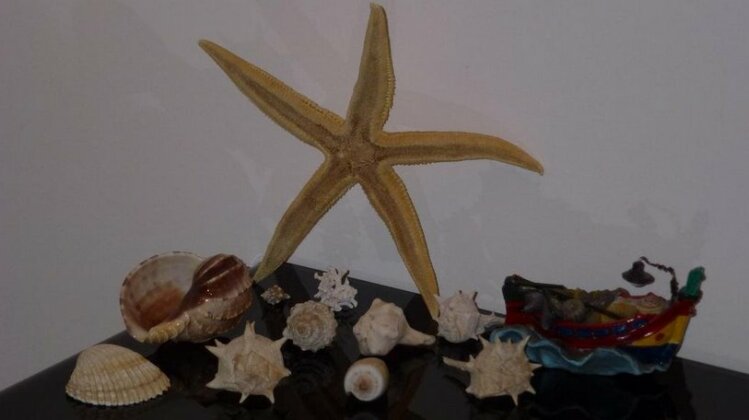 Sea Star Cefalu - Photo3