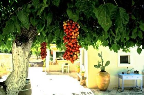 Trullo Sant'Angelo - Photo3