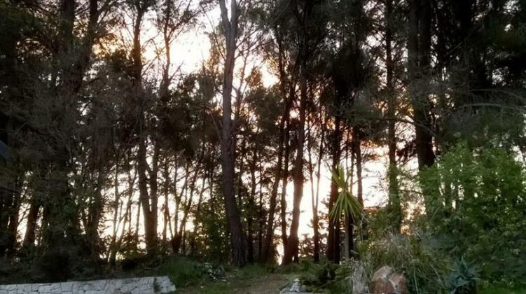 Trullo Sottoleucalipto - Photo4