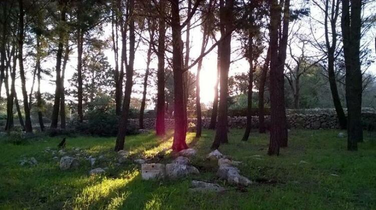 Trullo Sottoleucalipto - Photo5