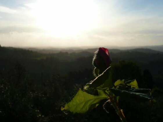 Castello di Tavolese - Photo2