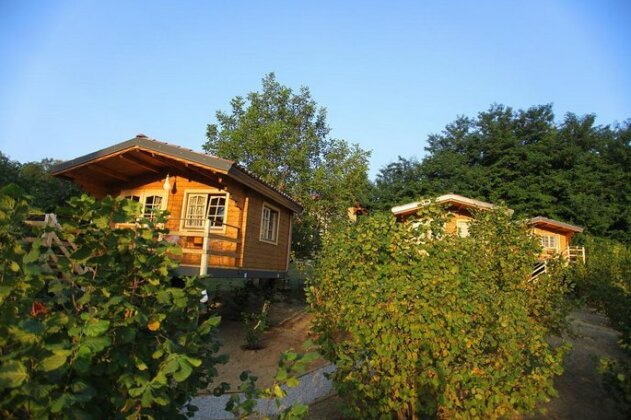 Ecolodge Langhe