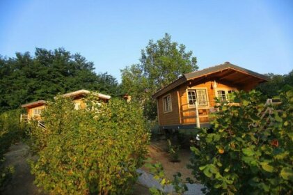 Ecolodge Langhe
