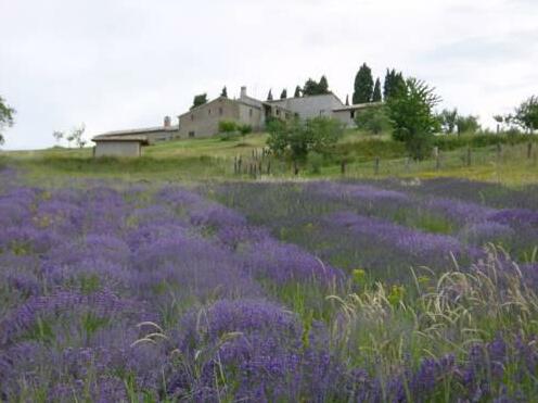 Agriturismo Monterosello