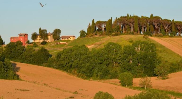 Azienda Agrituristica Il Sarale Citta di Castello - Photo2