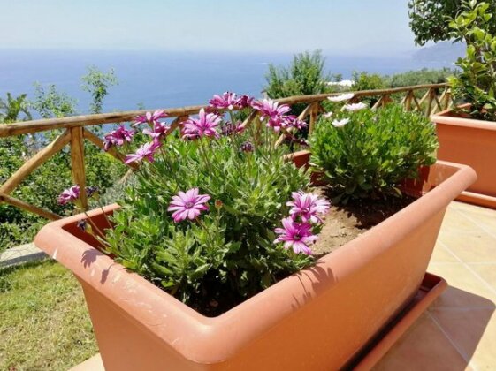 Thats Amore holidays - Villa Donna Antonia - Photo3