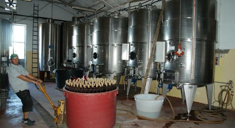 Tenuta Annibale - Photo4