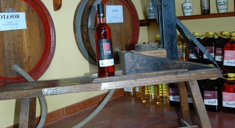 Tenuta Annibale - Photo5