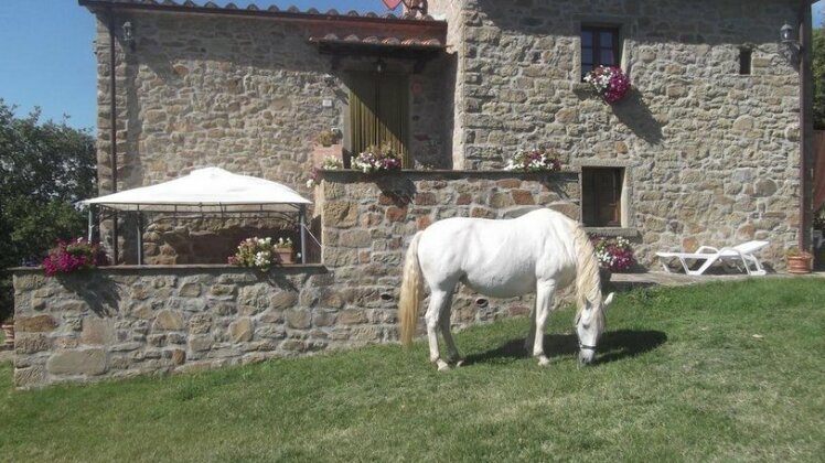 Agriturismo la Coccinella Cortona - Photo5