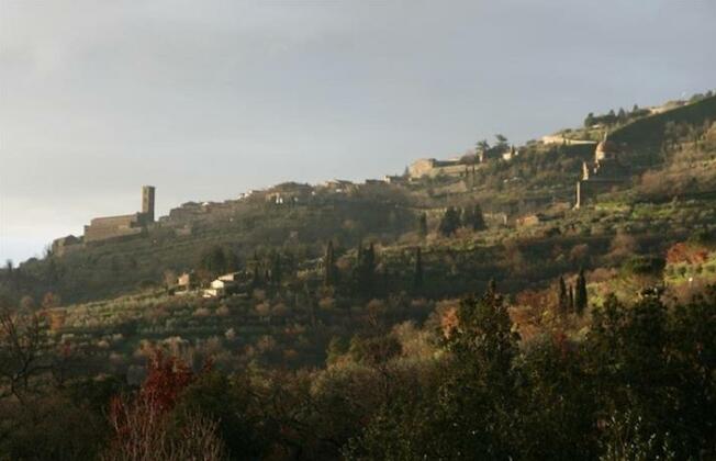 Antica Quercia Verde - Photo5