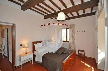 Cedri - Photo5