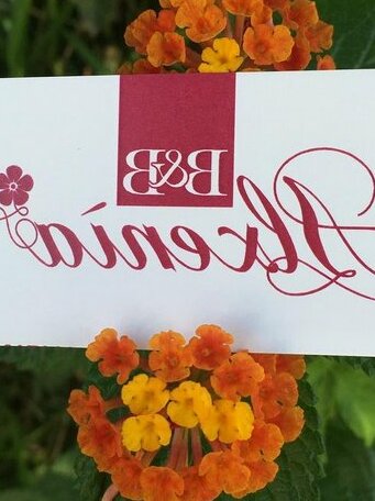 B&B Alxenia - Photo3