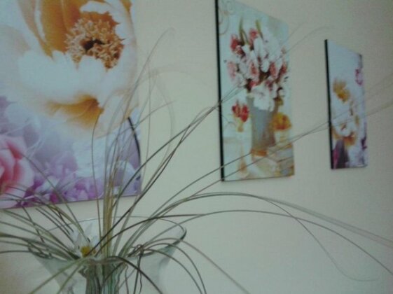 Casa Antares Custonaci - Photo3