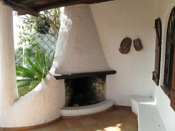 Aloe & Cactus - Photo2