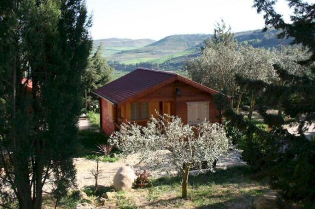Agriturismo il Mandorleto - Photo2