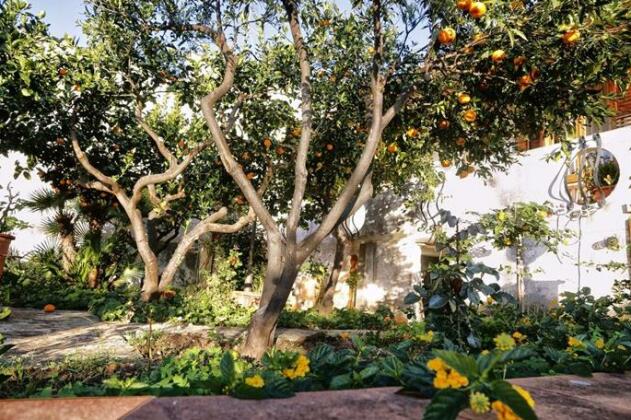 Villa Limoni - Photo5