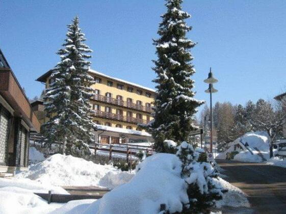 Hotel des Alpes - Photo2