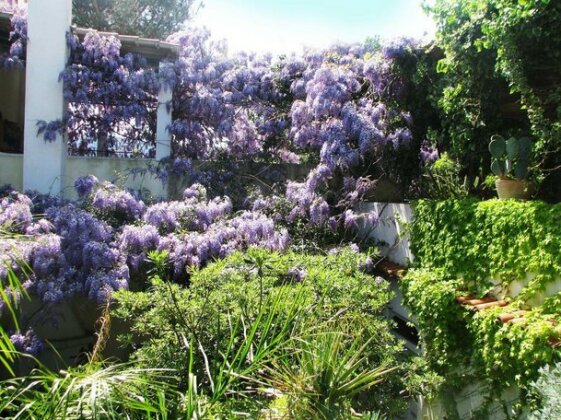B&B La Salamandra Kitchengarden - Photo4