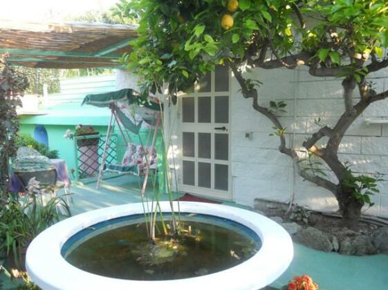 Hotel La Rondinella Forio - Photo2