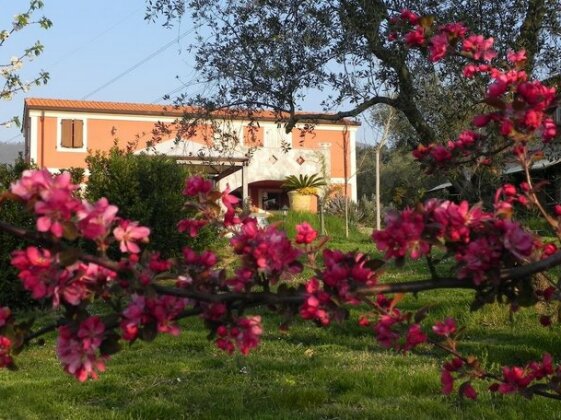 Il Giardino delle Esperidi