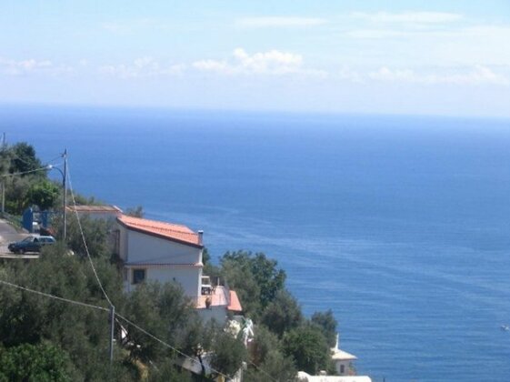 Amalfi Coast Bougainvillea