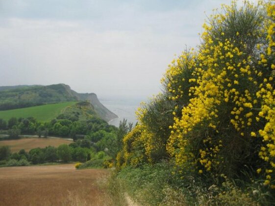 Da Lorella Gabicce Mare - Photo4