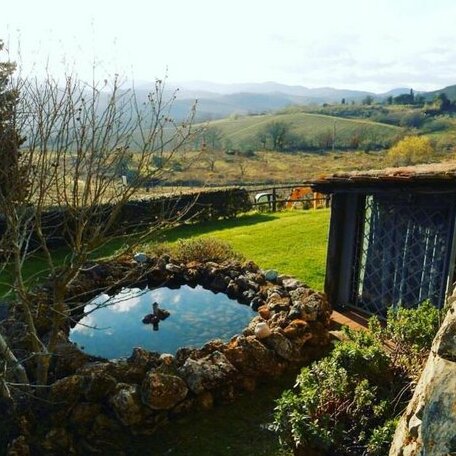 Celle di lecchi nel Chianti - Photo3