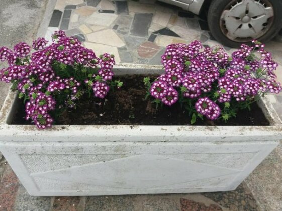 Appartamenti Naxos - Photo5