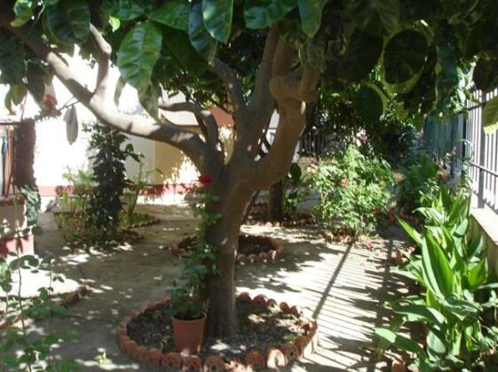 Appartamento Le Rose - Photo5