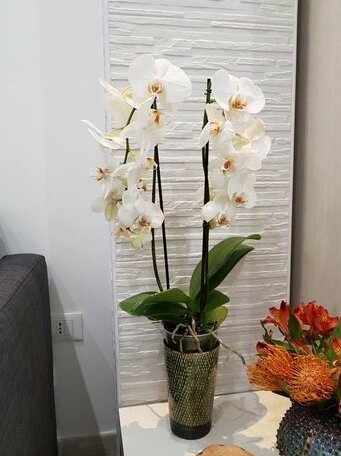 Martin Holiday Apartments - Photo2