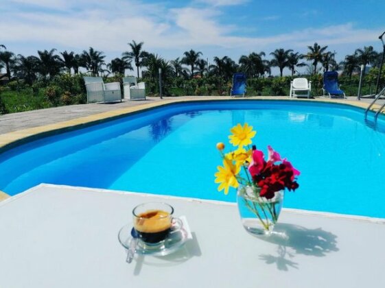 Villa Laura Apartment - Photo4