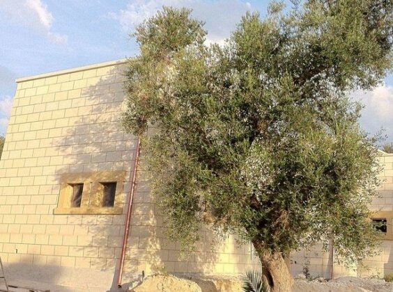 Relais Masseria Petrusella - Photo4