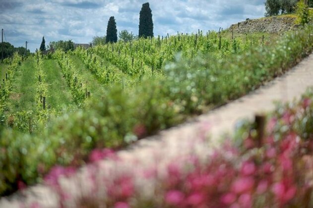 Valletta Greve in Chianti - Photo2